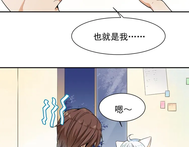 被猫碰瓷了 第19页