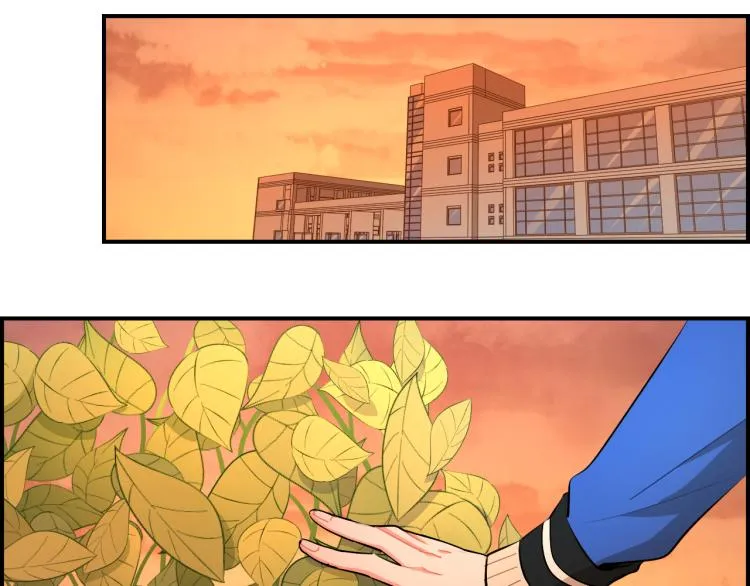 第36话 决裂 第52页