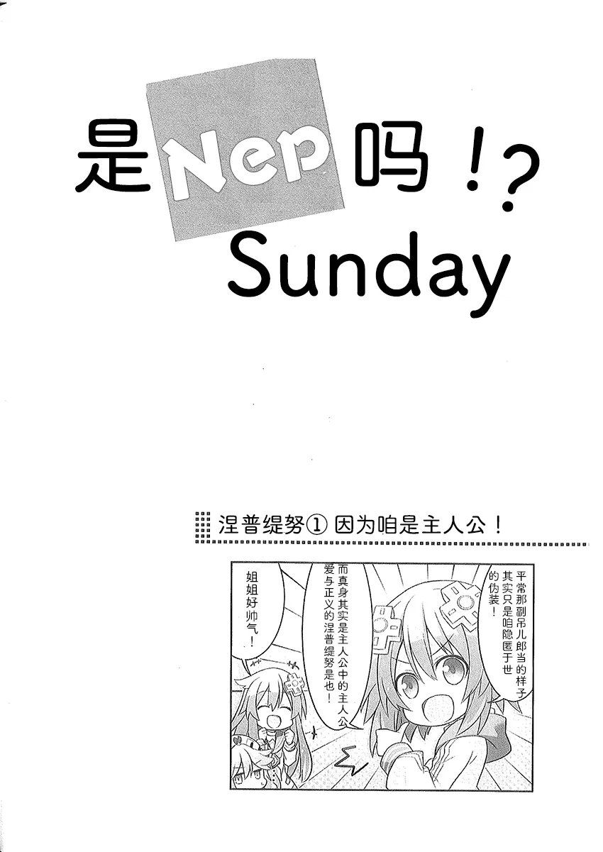 涅普日和PP 第5页