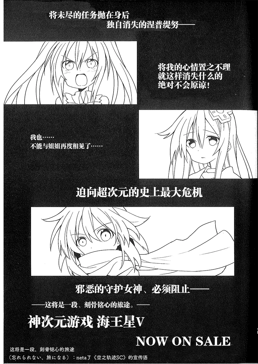 涅普日和PP 第14页