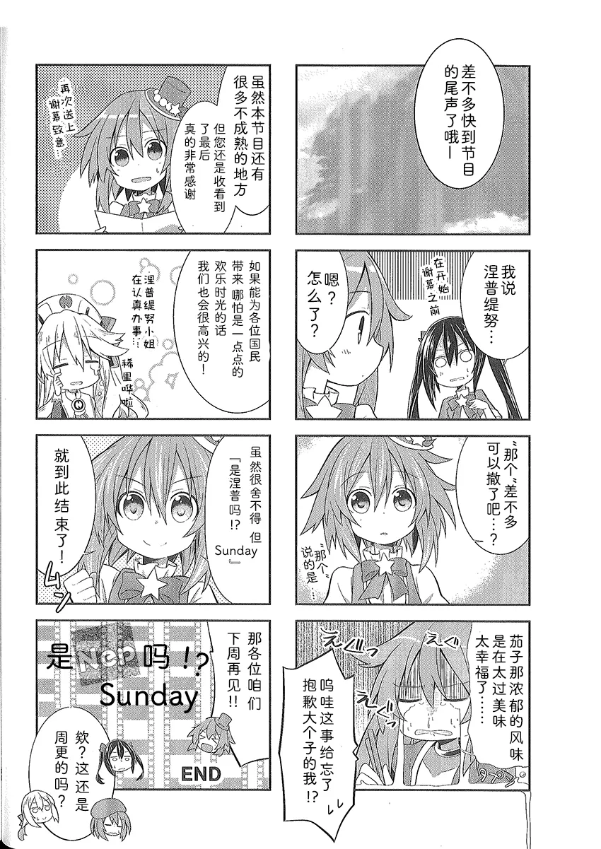 涅普日和PP 第21页