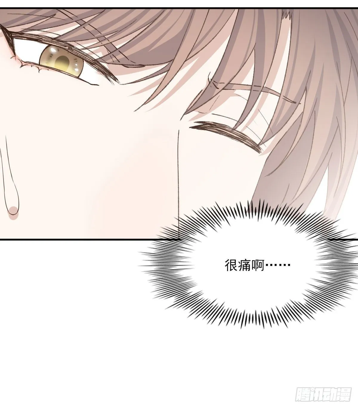 抓痕 第5页