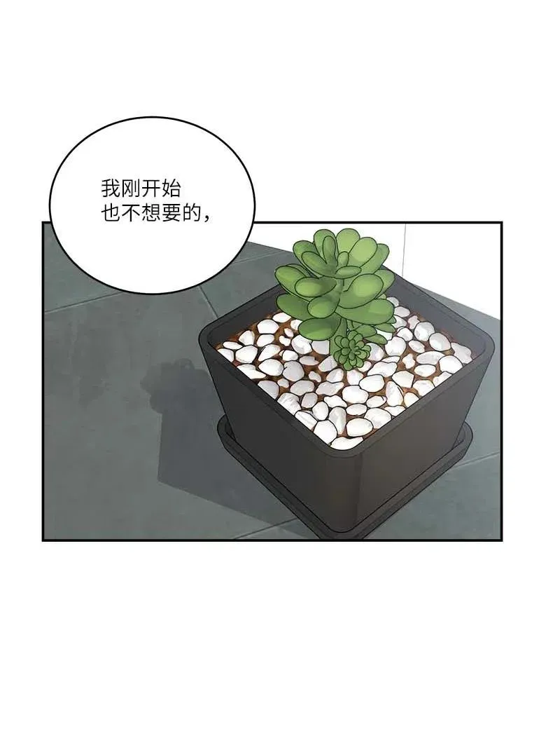 85 【哥】 第41页