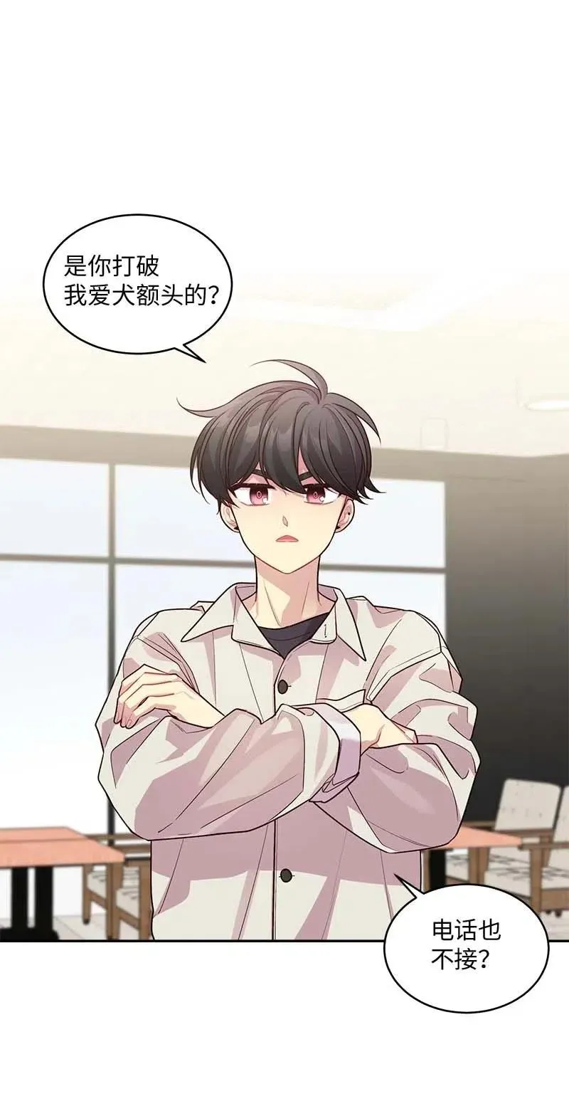 59 爱犬 第42页