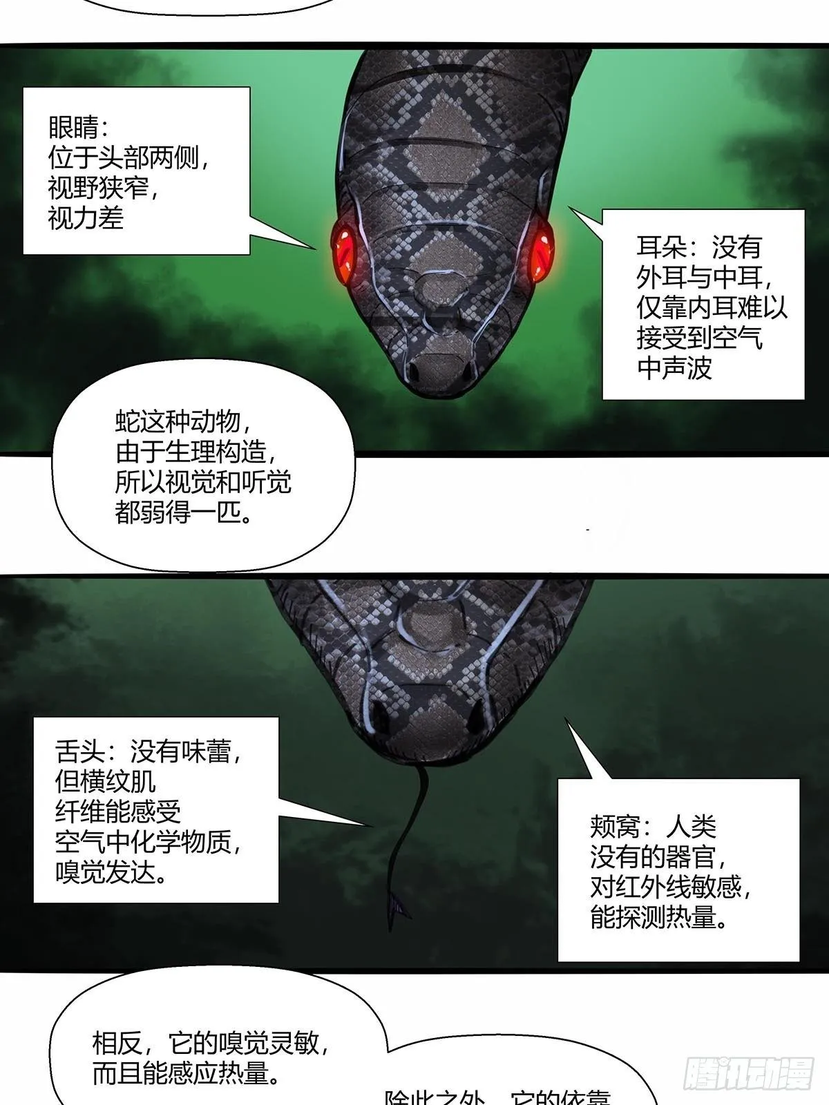 15：“偷技能”的技能 第20页
