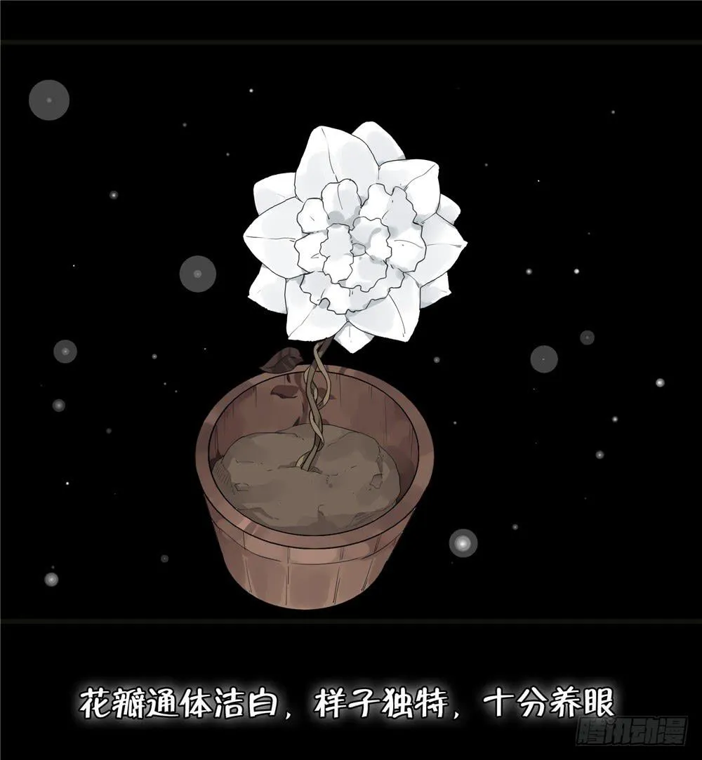 葬花【二】 第17页