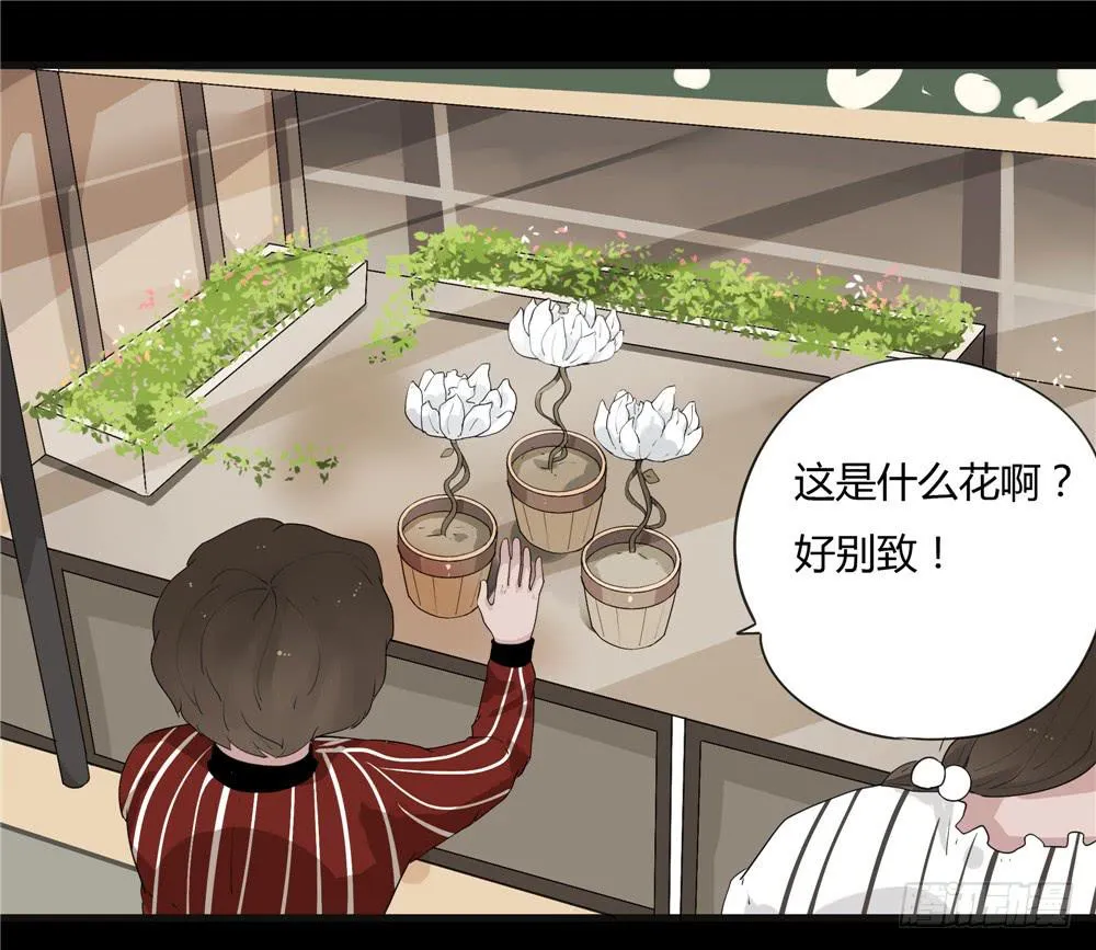 葬花【二】 第23页