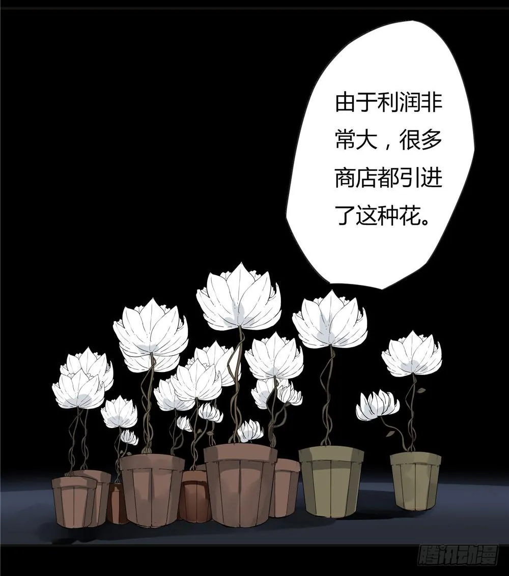 葬花【四】 第28页