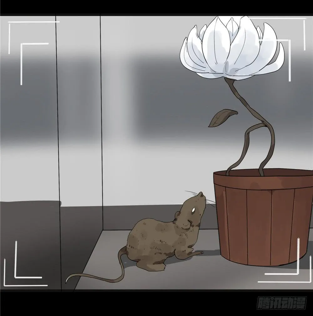 葬花【5】 第20页