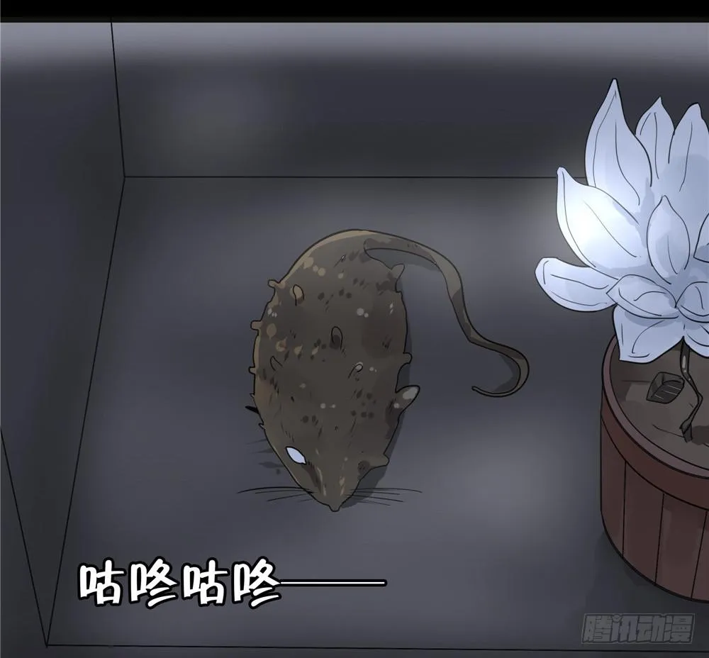 葬花【5】 第28页