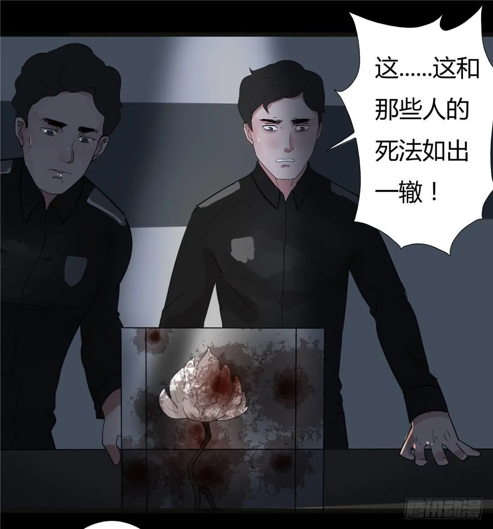 葬花【5】 第30页