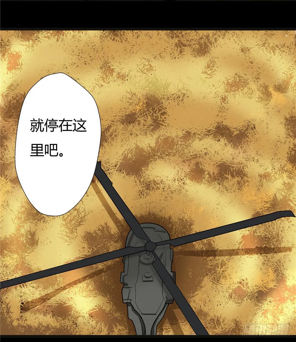 葬花【六】 第24页