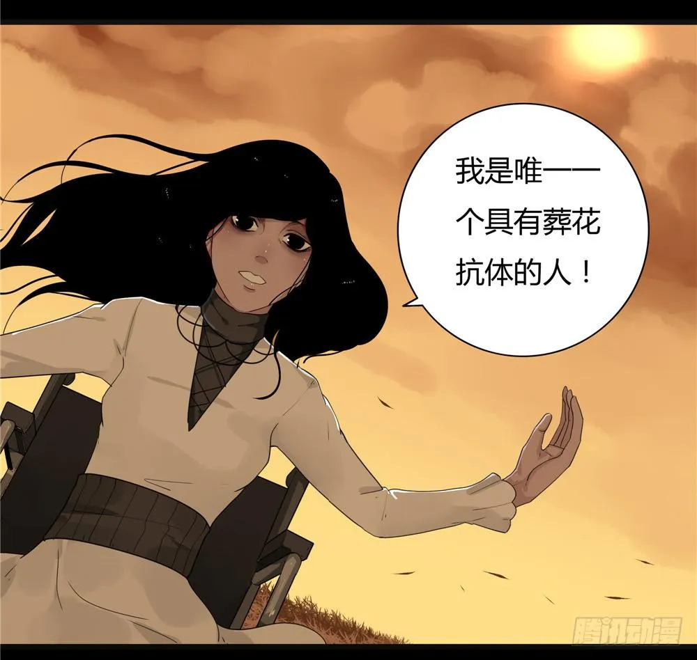 葬花【八】 第29页