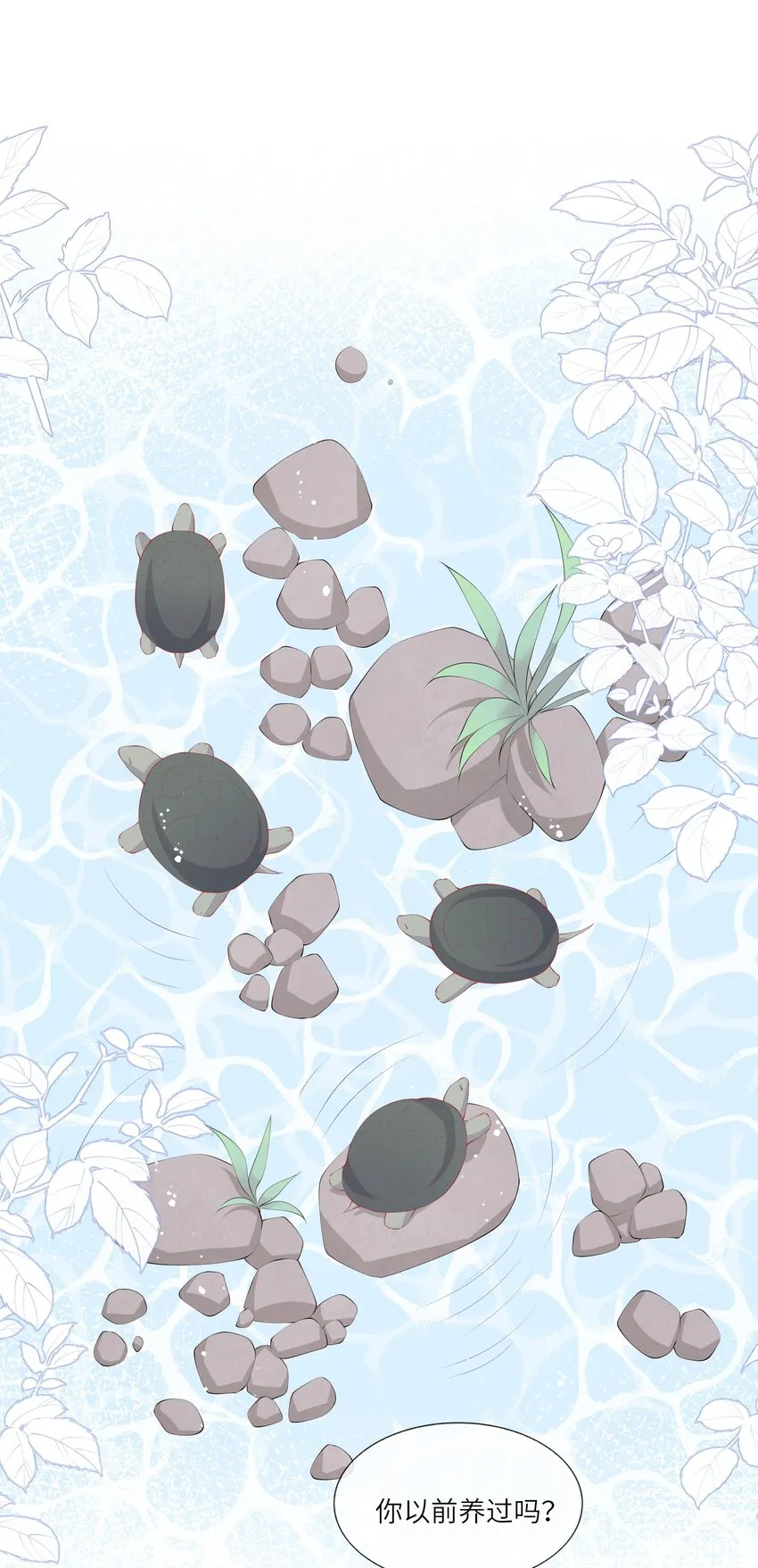 050 宁愿想要小乌龟 第31页