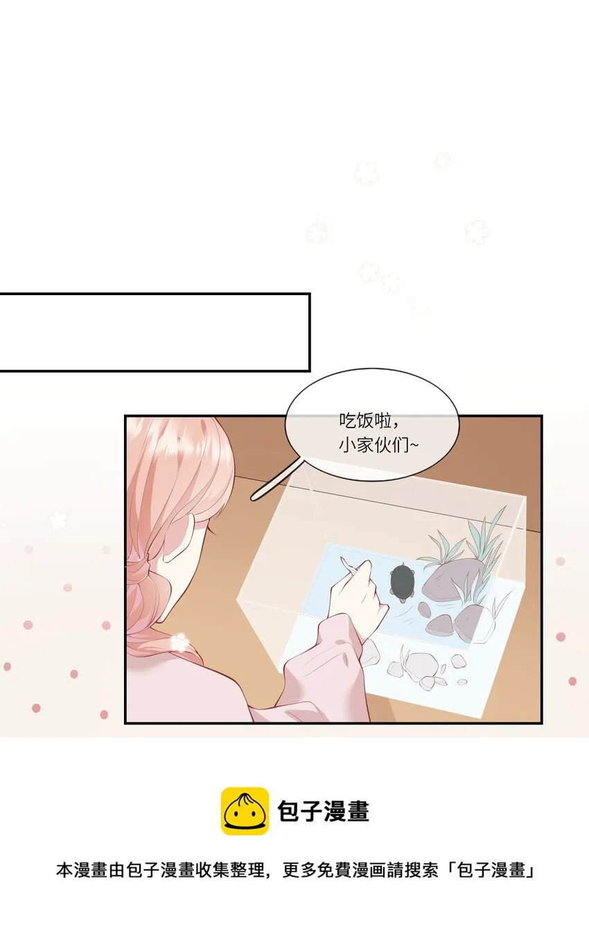 050 宁愿想要小乌龟 第33页