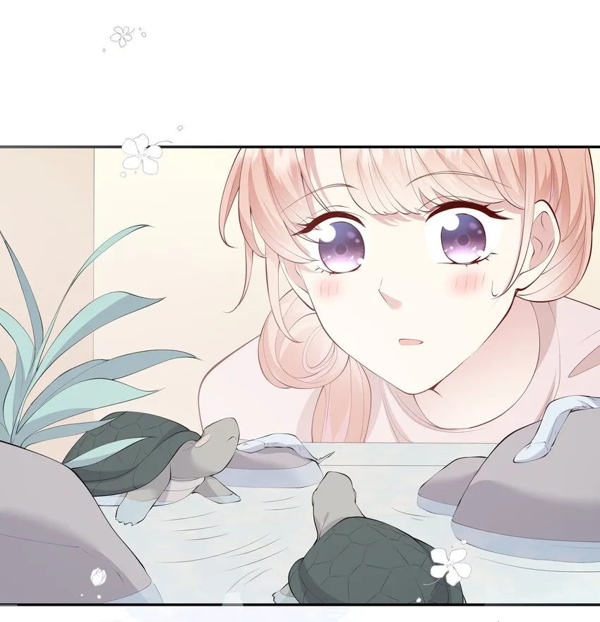 050 宁愿想要小乌龟 第35页