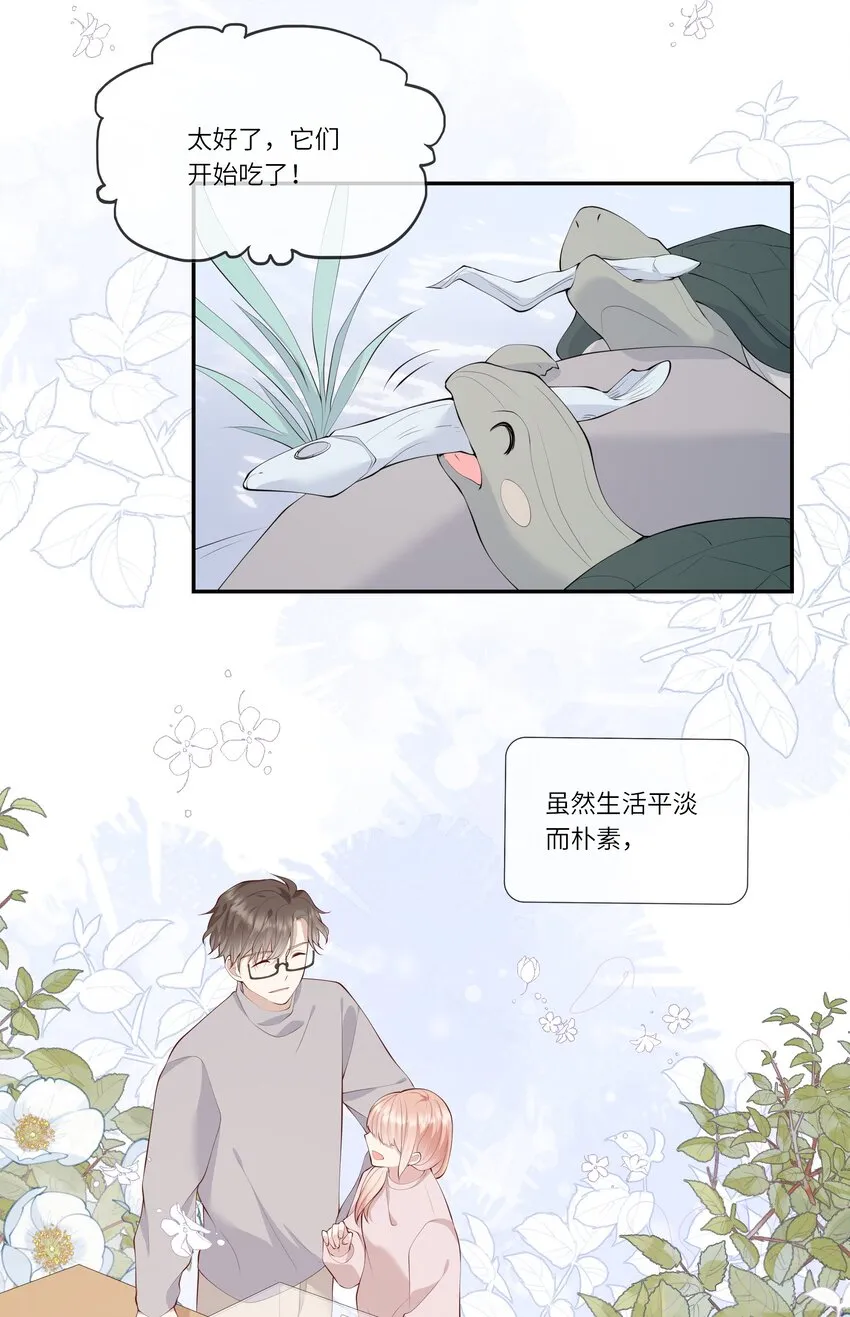 050 宁愿想要小乌龟 第36页