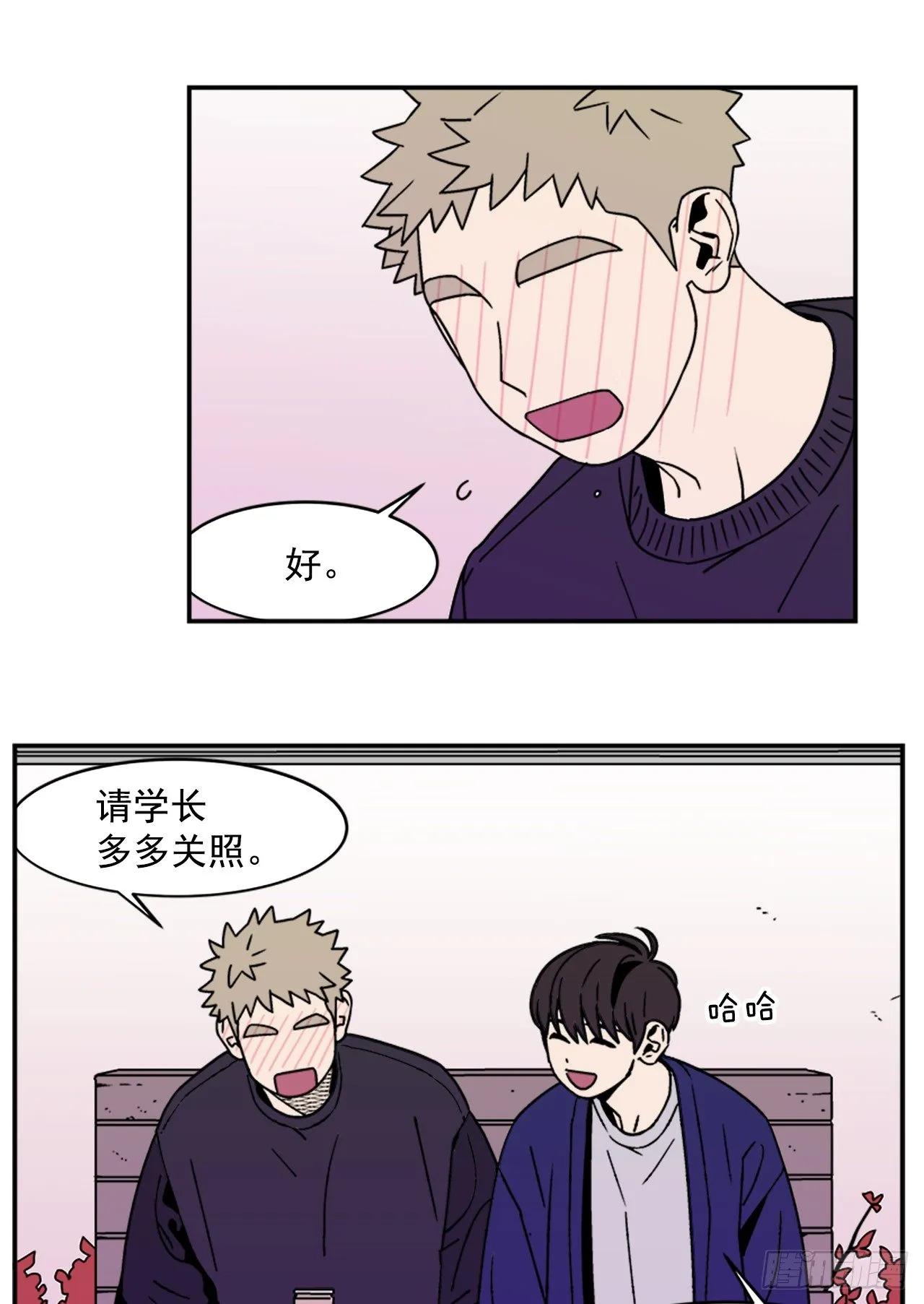 4.我们交往吧 第13页