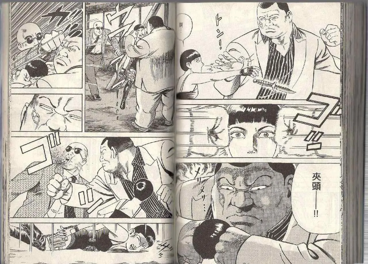 第95卷 第87页