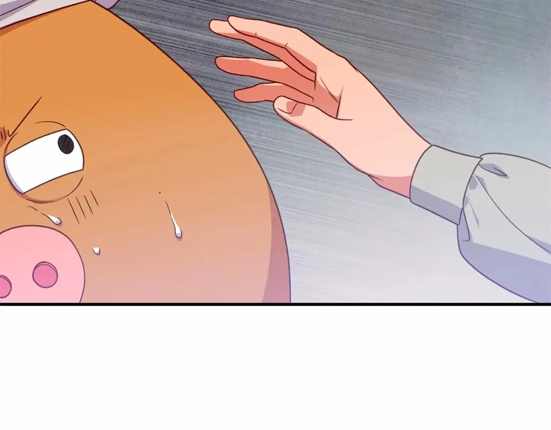 第145话 三只小猪 第42页