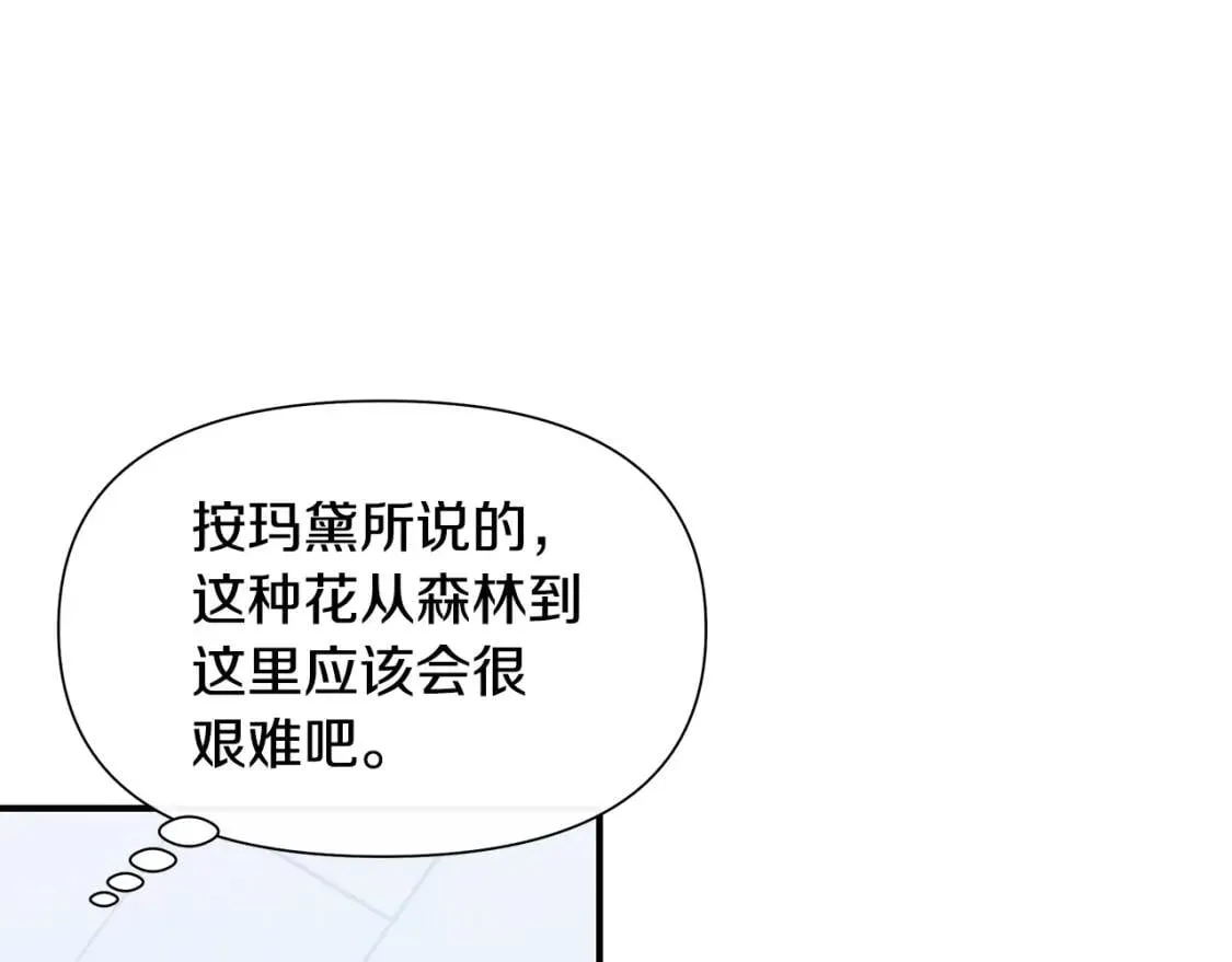 第135话 花之名 第14页
