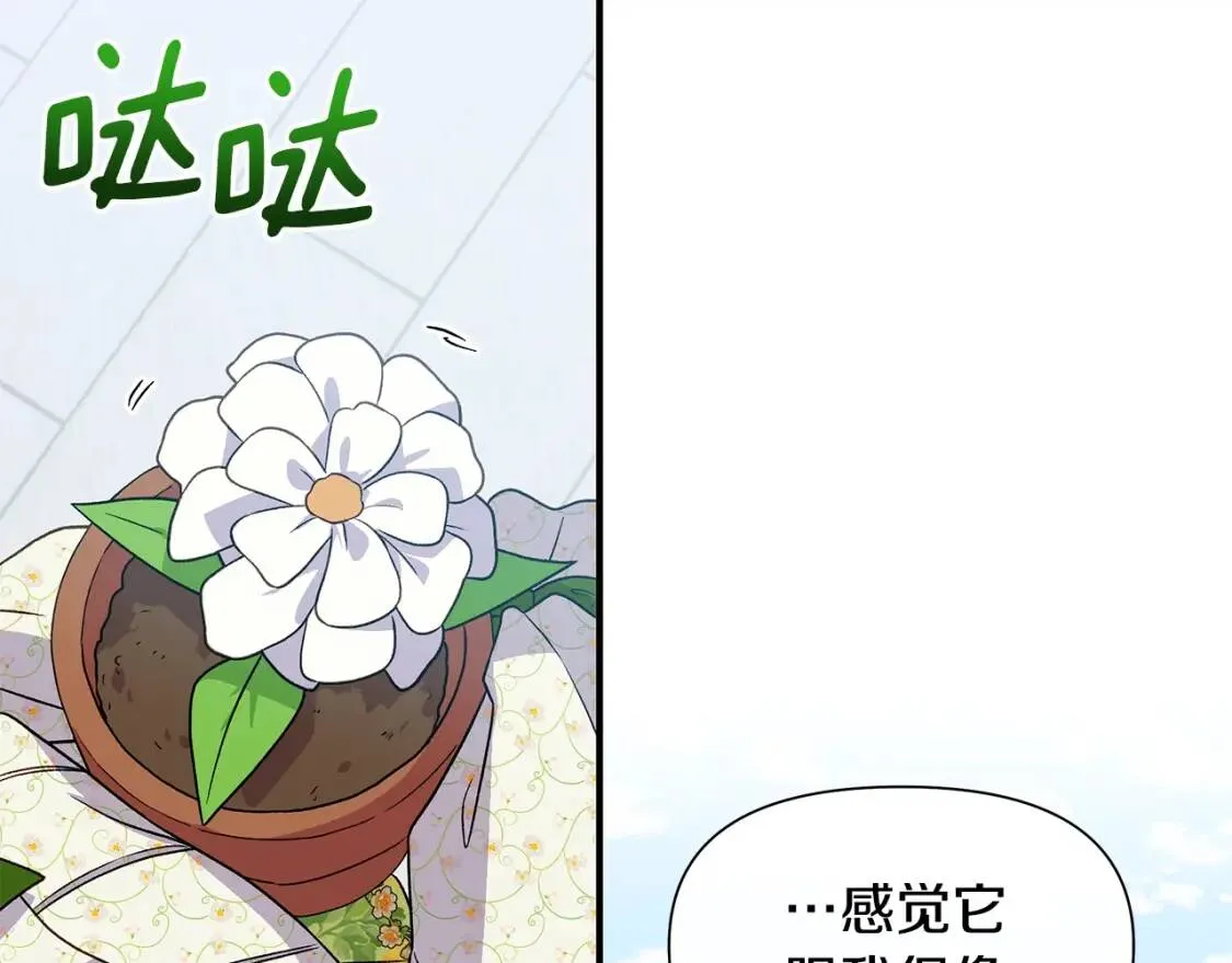 第135话 花之名 第15页