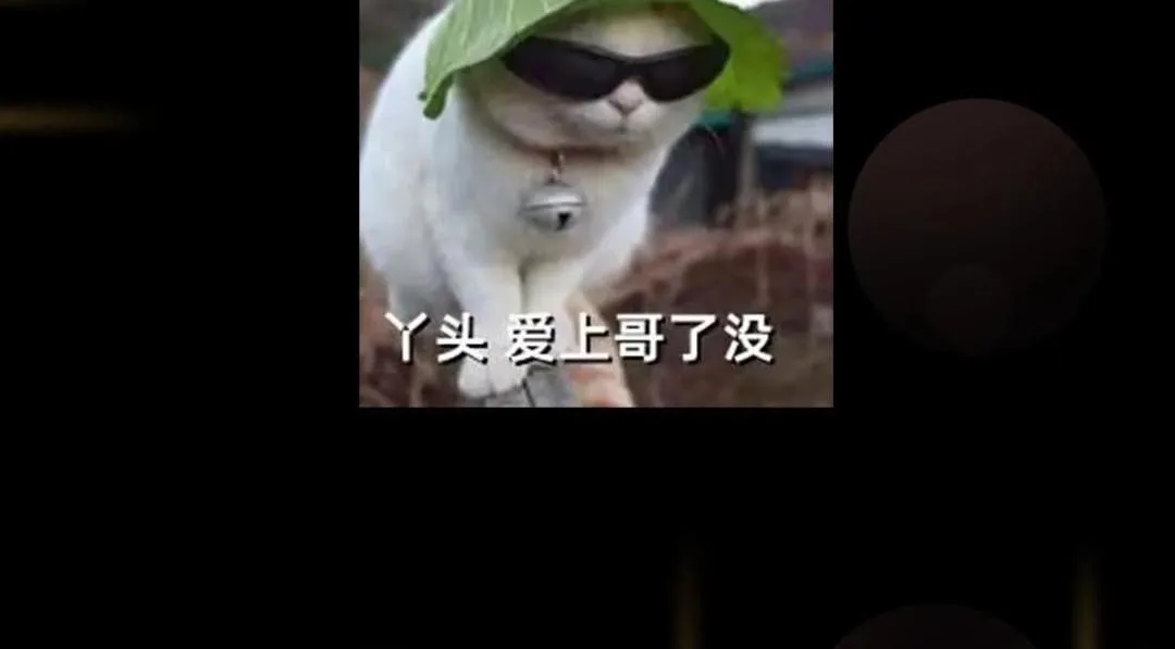 198 混沌之眼的秘密！ 第125页