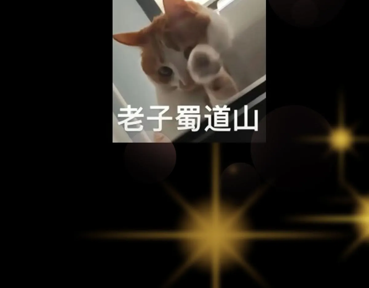 216 一眼便已看破！ 第124页