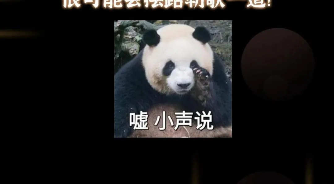 215 资本家看了得流泪！ 第146页