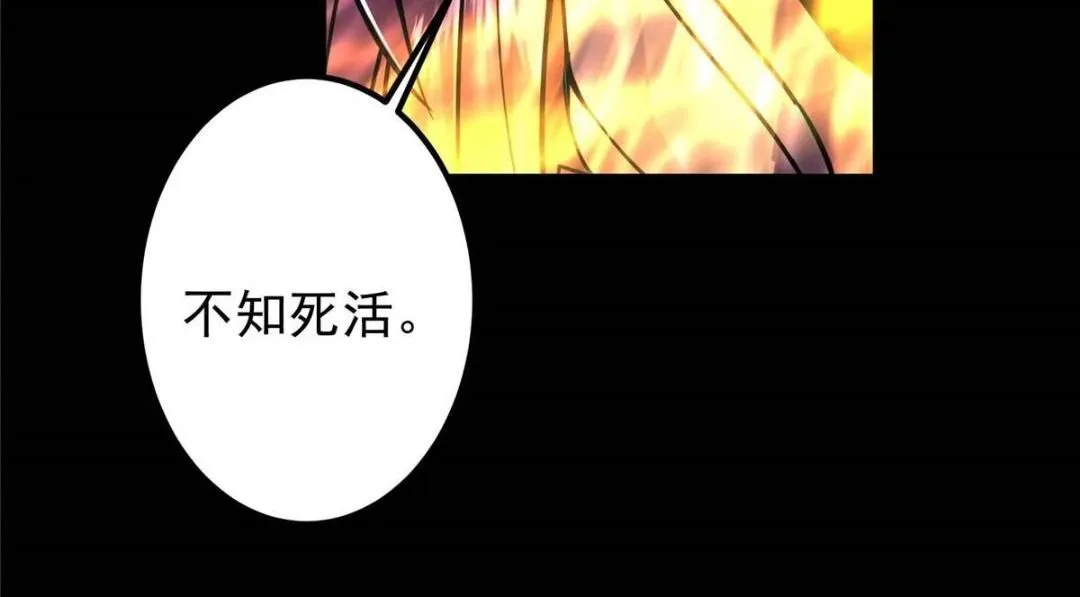 240 这一剑，雪停 第68页