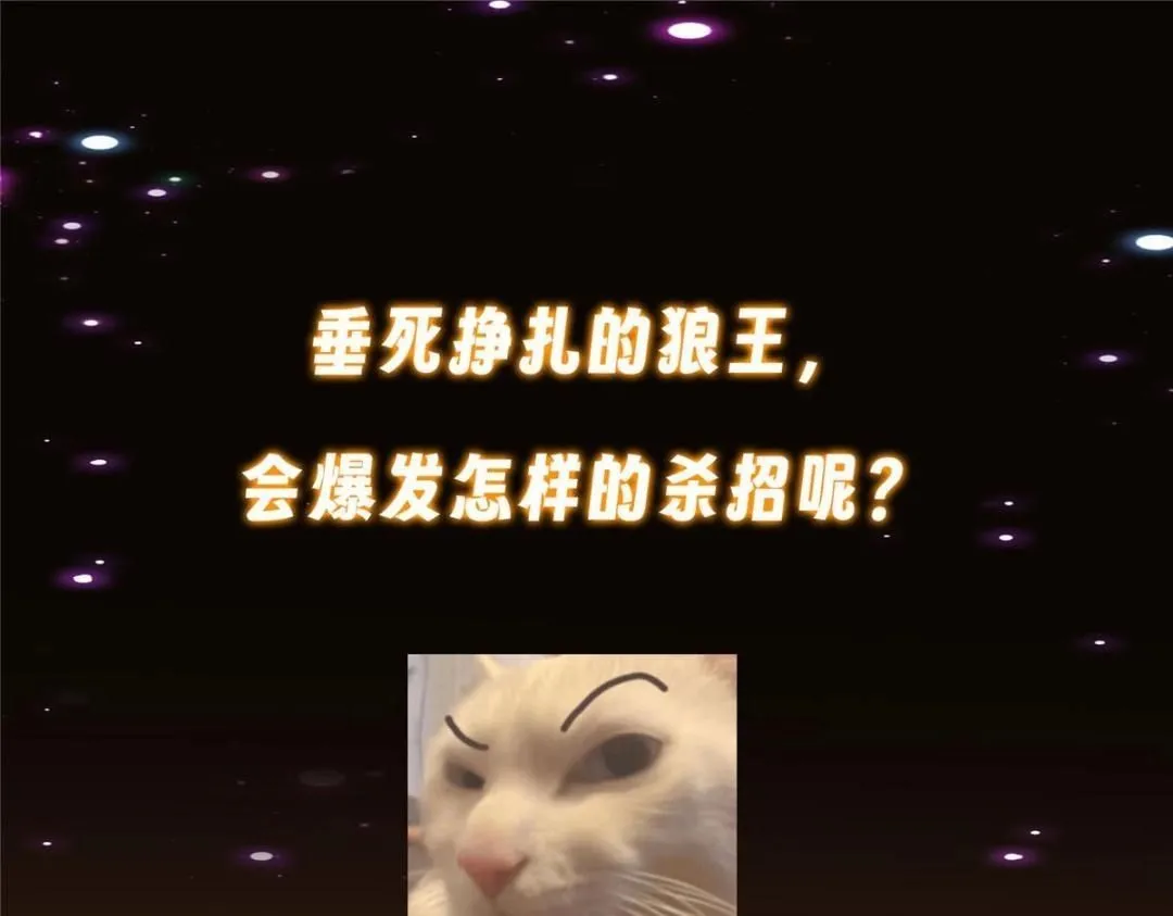 240 这一剑，雪停 第168页