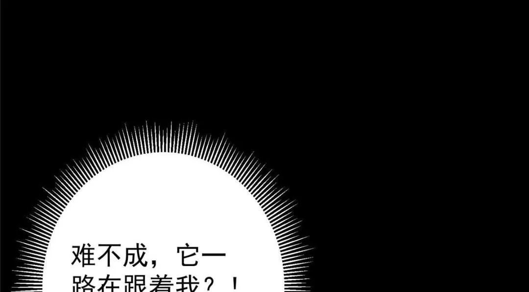 242 万一是美人塔主呢？ 第26页
