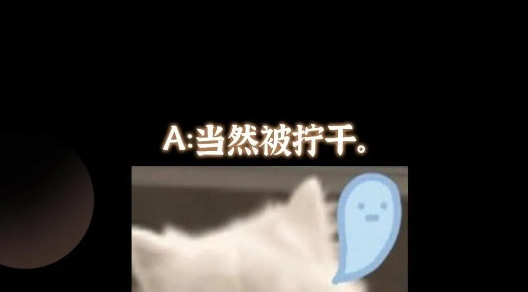 249 有了我珍视的家人 第153页