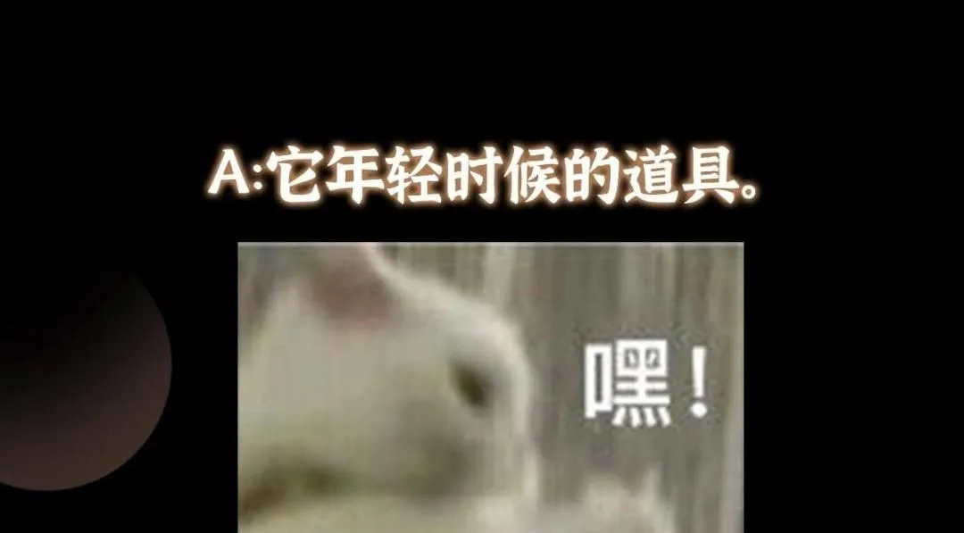 255 痴呆又机灵！ 第136页