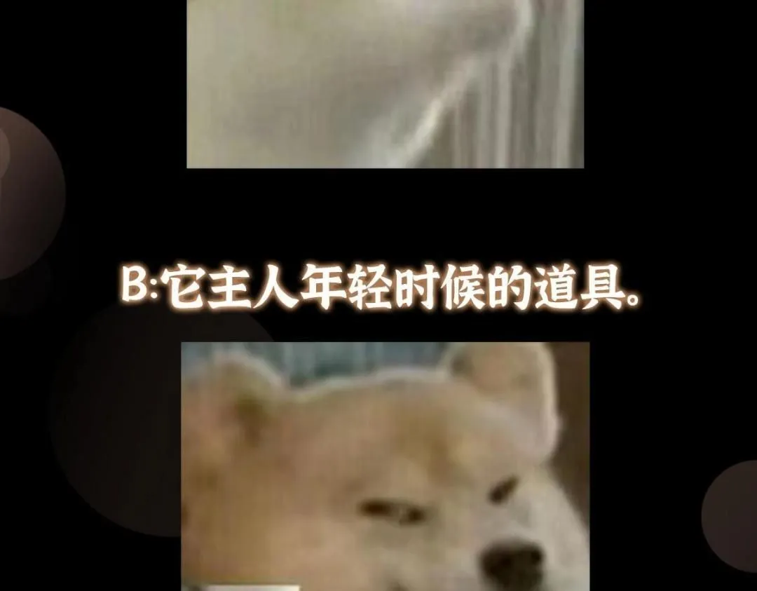 255 痴呆又机灵！ 第137页