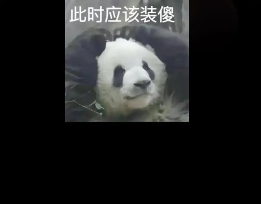 263 满山大雪皆为吾剑 第175页