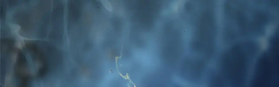 275 绝美与绝美的初见 第135页