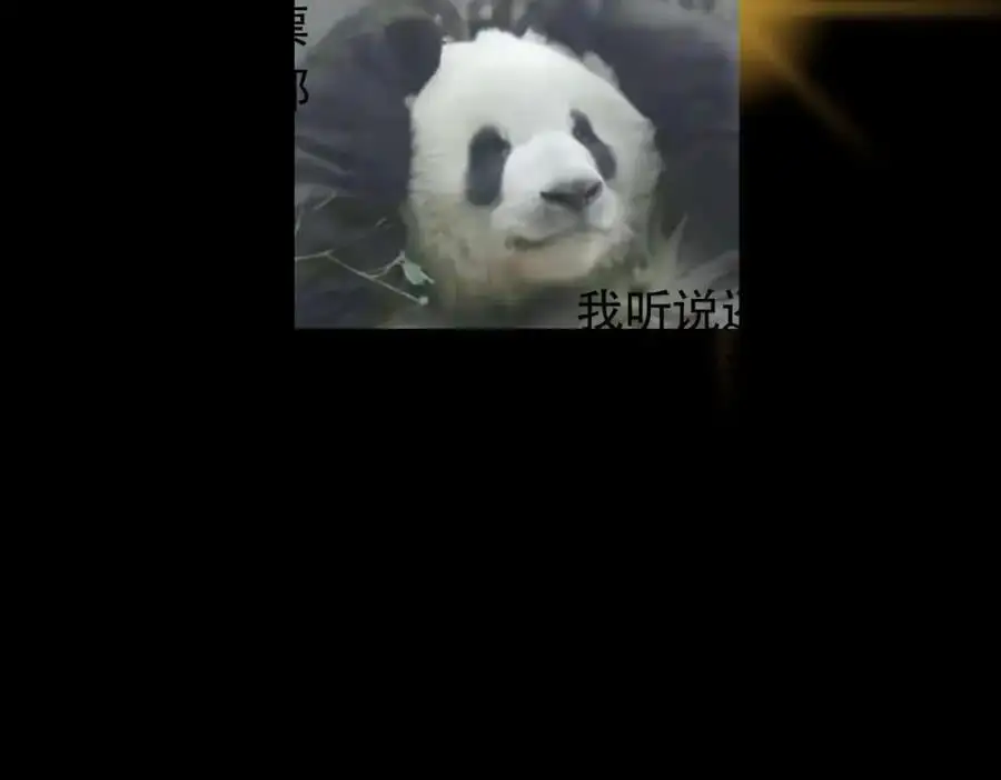 285 这一场，你赢了 第135页