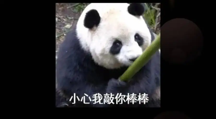 289 到底谁是猎人？猎物？ 第158页
