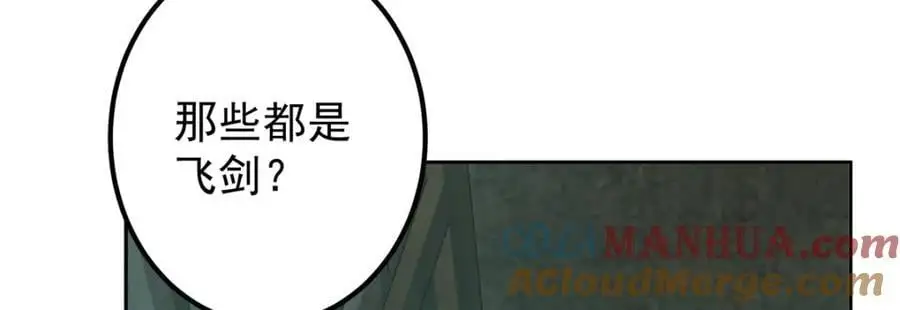 291 六境大佬真正的剑域 第117页
