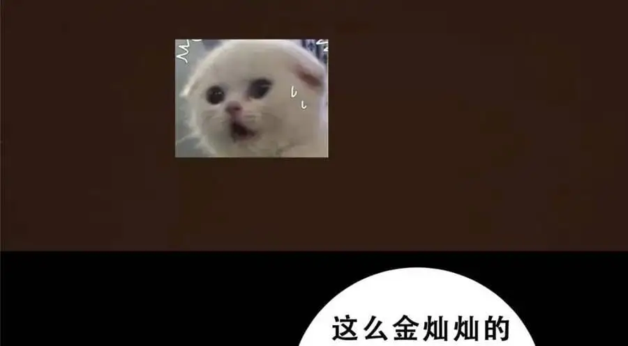 290 一见朝歌误终生 第164页