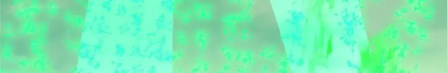 304 要玩一波大的！ 第71页