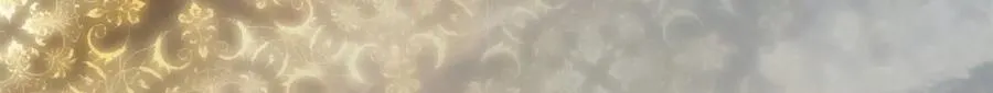 305 我可是要吃亏的！ 第131页
