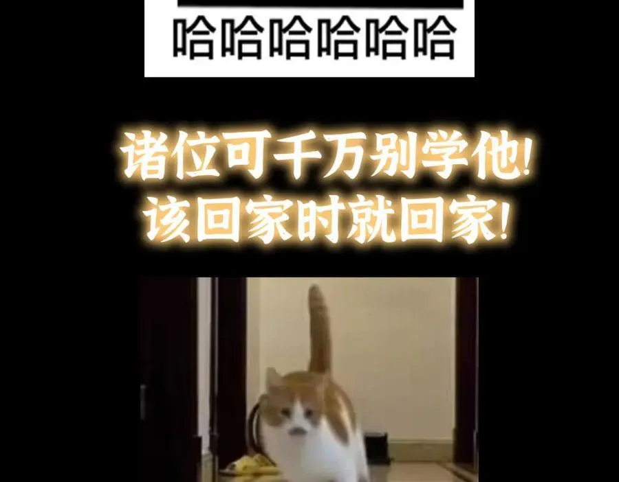 313 迟早在顶峰相见 第163页
