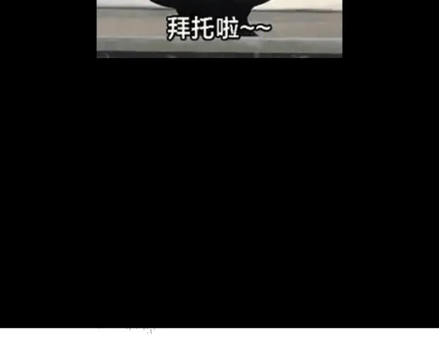 313 迟早在顶峰相见 第166页
