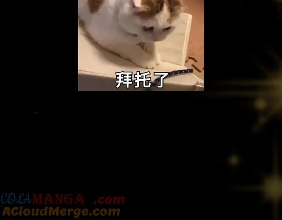453 平和又美好的一切 第217页