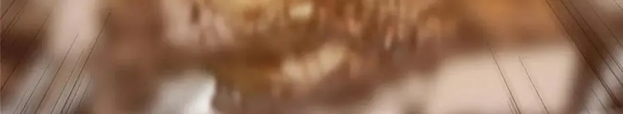 455 曾祸乱天下的鬼王 第204页