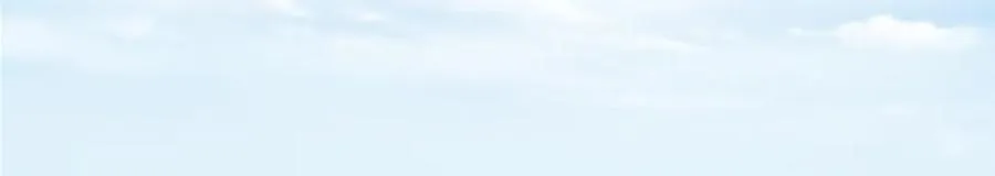 462 青龙川事变开始 第174页