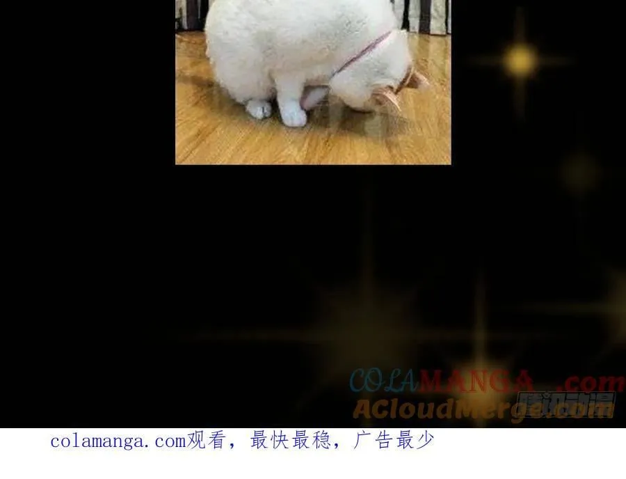 请假条 3 第3页