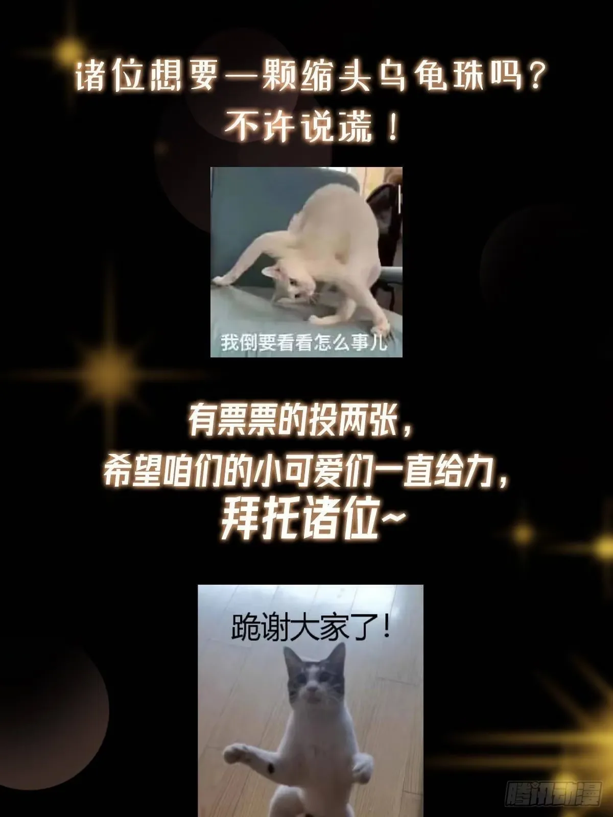 557 缩头乌龟专属法宝 第82页